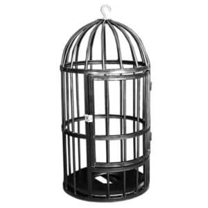 BDSM Steel Cage